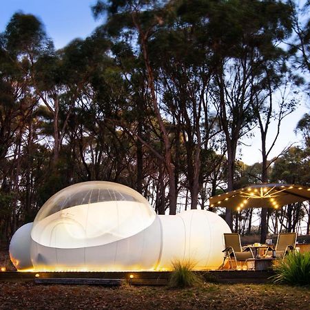 Skyview Bubbletent Eganstown 外观 照片